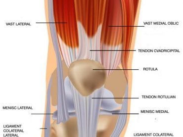Leziunea tendonului cvadricipital